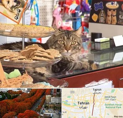 فروشگاه لوازم گربه در ولیعصر