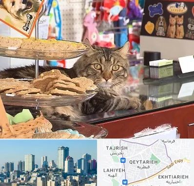 فروشگاه لوازم گربه در قیطریه 