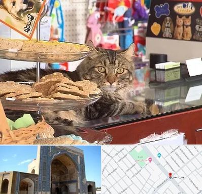 فروشگاه لوازم گربه در مصلی مشهد