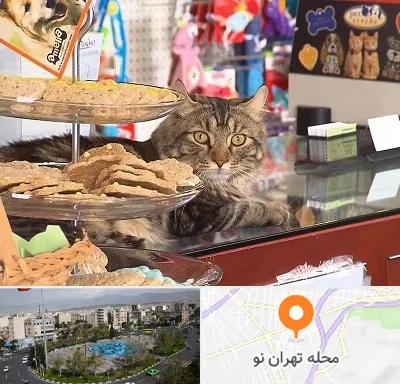 فروشگاه لوازم گربه در تهران نو