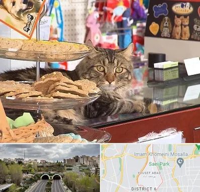 فروشگاه لوازم گربه در یوسف آباد 