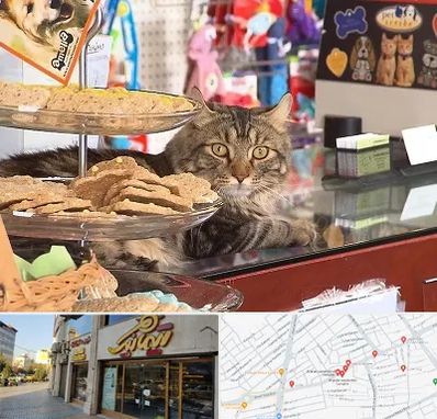 فروشگاه لوازم گربه در عطاران قم