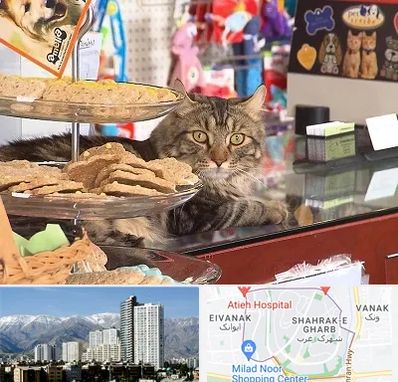 فروشگاه لوازم گربه در شهرک غرب 