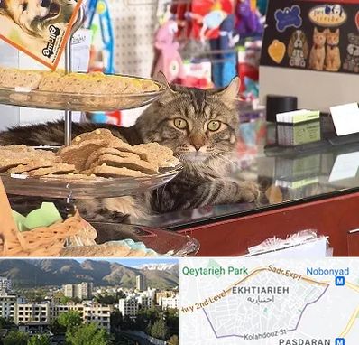 فروشگاه لوازم گربه در اختیاریه