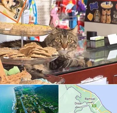 فروشگاه لوازم گربه در رامسر