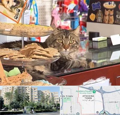 فروشگاه لوازم گربه در آپادانا