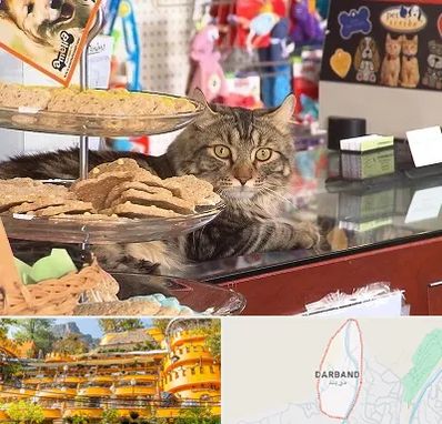 فروشگاه لوازم گربه در دربند