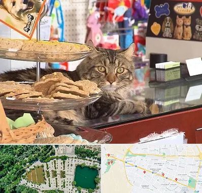 فروشگاه لوازم گربه در وکیل آباد مشهد