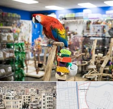 فروشگاه لوازم پرندگان در اسکندری