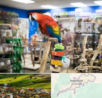 فروشگاه لوازم پرندگان در کلاردشت