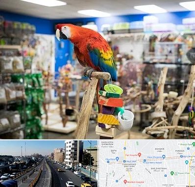 فروشگاه لوازم پرندگان در پیروزی