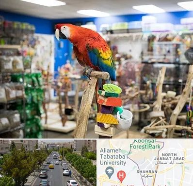 فروشگاه لوازم پرندگان در شهران 