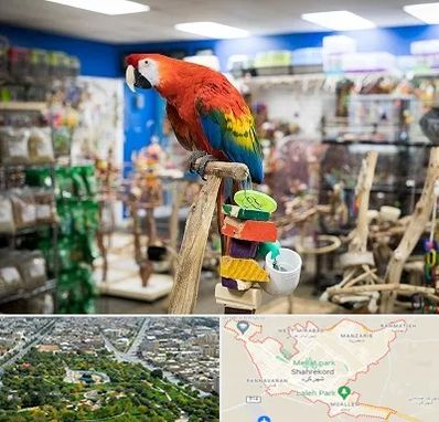 فروشگاه لوازم پرندگان در شهرکرد