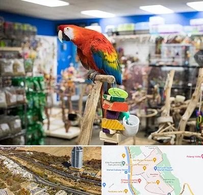 فروشگاه لوازم پرندگان در خیابان نیایش شیراز