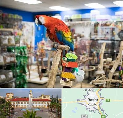 فروشگاه لوازم پرندگان در رشت