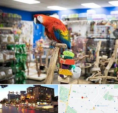 فروشگاه لوازم پرندگان در بلوار سجاد مشهد