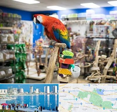 فروشگاه لوازم پرندگان در چیتگر 