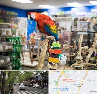 فروشگاه لوازم پرندگان در ظفر 