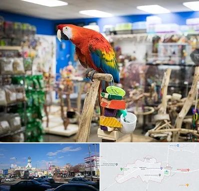 فروشگاه لوازم پرندگان در ماهدشت کرج