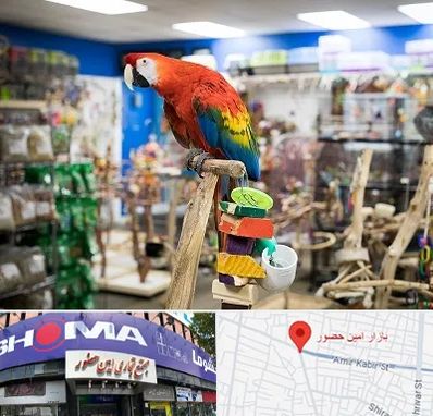 فروشگاه لوازم پرندگان در امین حضور