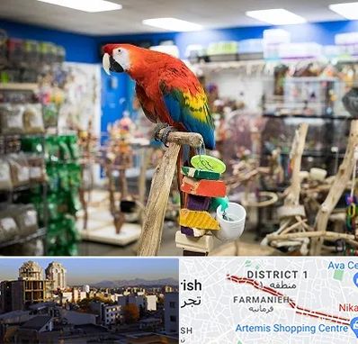 فروشگاه لوازم پرندگان در فرمانیه