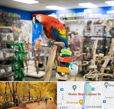 فروشگاه لوازم پرندگان در چهارباغ اصفهان