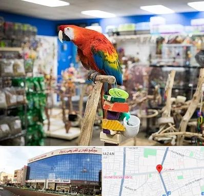 فروشگاه لوازم پرندگان در نصف راه تبریز