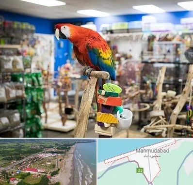 فروشگاه لوازم پرندگان در محمودآباد