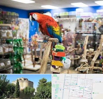فروشگاه لوازم پرندگان در مرداویج اصفهان