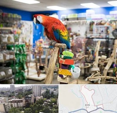 فروشگاه لوازم پرندگان در اوین