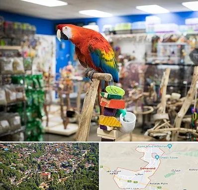 فروشگاه لوازم پرندگان در دماوند