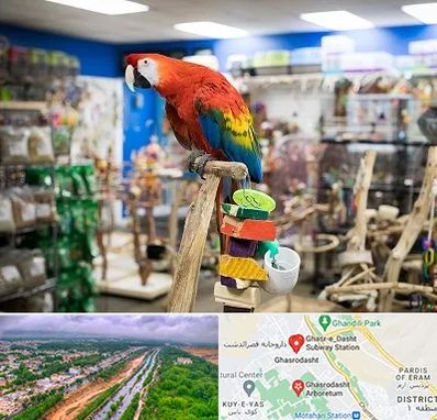 فروشگاه لوازم پرندگان در قصرالدشت شیراز