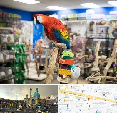 فروشگاه لوازم پرندگان در رسالت