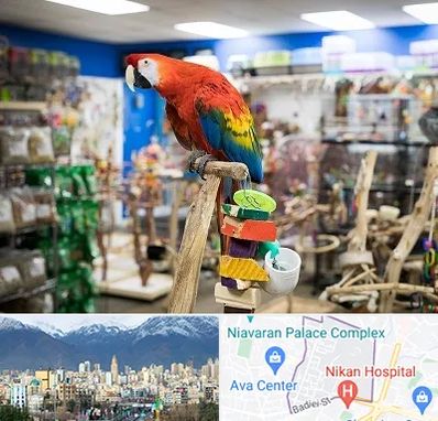 فروشگاه لوازم پرندگان در آجودانیه