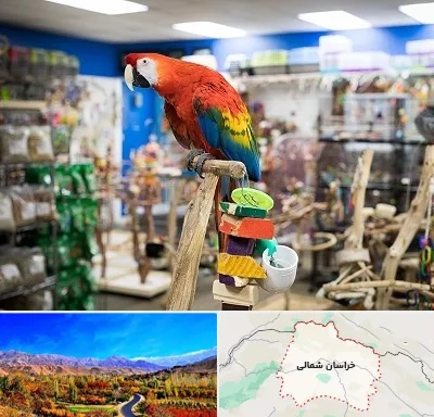 فروشگاه لوازم پرندگان در خراسان شمالی