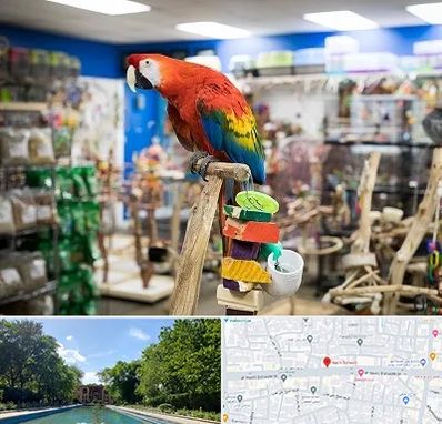 فروشگاه لوازم پرندگان در هشت بهشت اصفهان