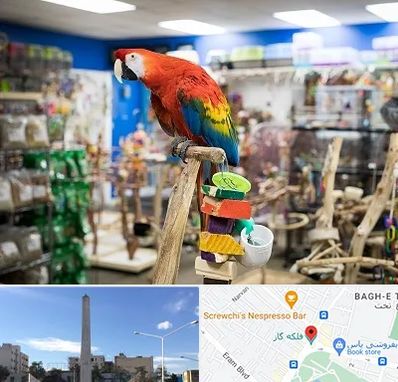 فروشگاه لوازم پرندگان در فلکه گاز شیراز