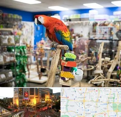 فروشگاه لوازم پرندگان در جنت آباد تهران 