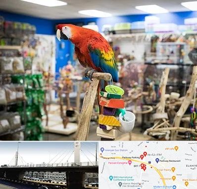 فروشگاه لوازم پرندگان در پارک وی