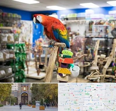 فروشگاه لوازم پرندگان در منطقه 12 تهران