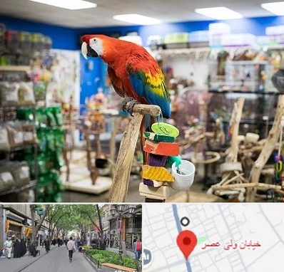 فروشگاه لوازم پرندگان در ولیعصر شهریار
