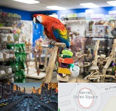 فروشگاه لوازم پرندگان در نواب