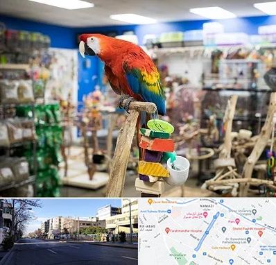 فروشگاه لوازم پرندگان در خیابان ملاصدرا شیراز