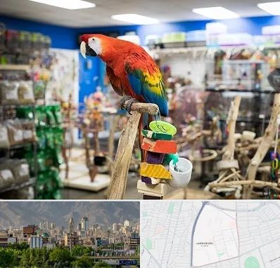 فروشگاه لوازم پرندگان در جمشیدیه