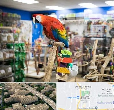 فروشگاه لوازم پرندگان در اکباتان 