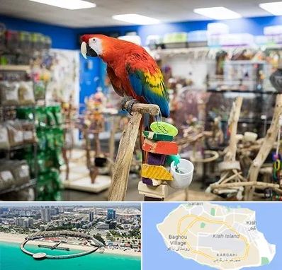 فروشگاه لوازم پرندگان در کیش