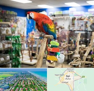 فروشگاه لوازم پرندگان در ساری