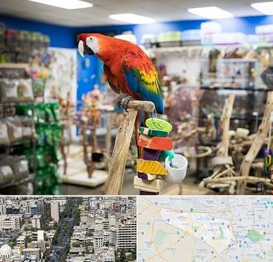 فروشگاه لوازم پرندگان در منطقه 18 تهران