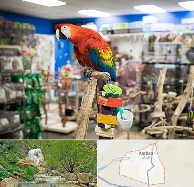 فروشگاه لوازم پرندگان در کردان