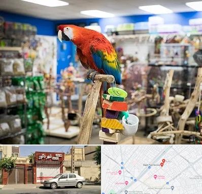 فروشگاه لوازم پرندگان در باجک قم